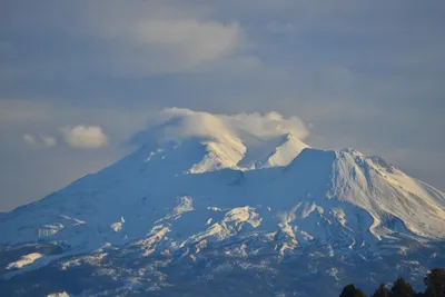 DSC_6002 (Large).JPG